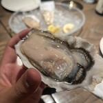 オストレア oysterbar&restaurant  - 