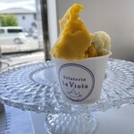 Gelateria La Viola - 