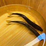 松川 - 2023年7月