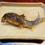 松川 - 2023年7月