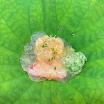 松川 - 2023年7月