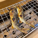 松川 - 2023年7月