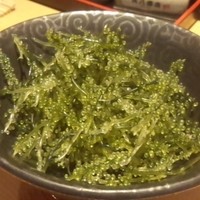 寅八商店 心斎橋店 - 