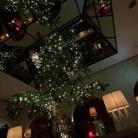 マディソン ニューヨーク キッチン - 