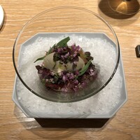 マンサルヴァ - 