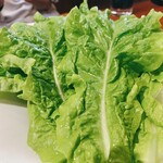 焼肉冷麺やまなか家 - サンチュ￥418