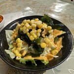 Indian Gandhi 2 - Salad