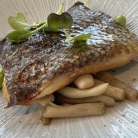ハルヤマシタ 東京本店 - 鱸と山の恵 オーブングリル焼き