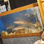 割烹 やました - 