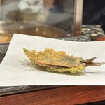 Tempura Morii - 