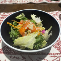 biodinamico - 