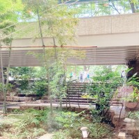 麓屋 京王プラザホテル - 