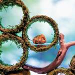 アルカナイズ - 