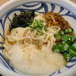 おうどん 瀬戸晴れ - 