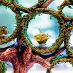 アルカナイズ - 