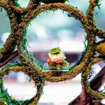 アルカナイズ - 