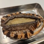 Ottimo - 巨大アワビ