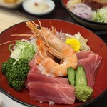 Magurodon Kaichi - 