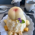 サクラサクラ - 