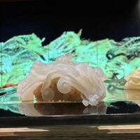 渋谷 鮨 スブリム TOKYO - アオリイカ