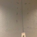 ダブルクイック - 