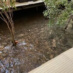 貴船喜らく - 癒される！