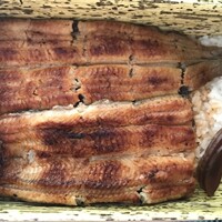 うなぎ割烹 白金台 まつ本 - 