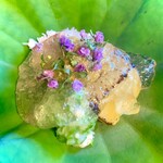 御料理 貴船 - 蓮の葉に盛られた玉蜀黍豆腐、毛蟹、オクラ、土佐酢のジュレ掛け・軽く炙った玉蜀黍豆腐の甘さ、毛蟹ほぐし身の甘さと塩味、オクラの食感に、土佐酢の酸味が全体を纏めて絶妙な前菜