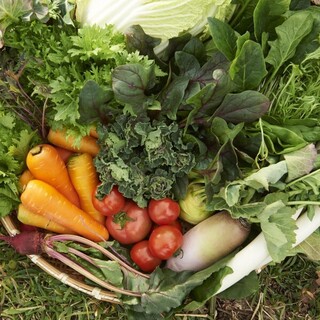 Nakanishi Farm grows about 80 types of Hachioji vegetables with reduced pesticides.