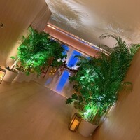The Blue Room - 