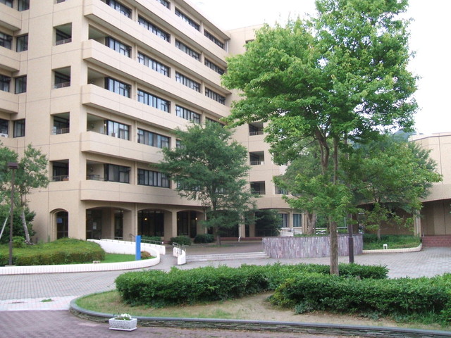 鳴門 教育 大学