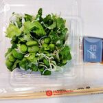 ほっともっと - プラスサラダ！100円サラダ