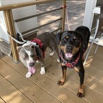 信南レストラン　岳楽彩 - 