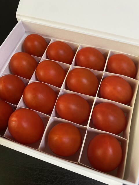 amama♡即日発送♡ 赤 Lサイズ OSMIC FIRST GINZA SIX店 （オスミック ファースト） - 銀座/その他