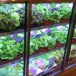 くるむ サンパ店