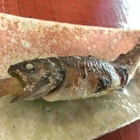 うかい鳥山 - 岩魚