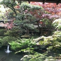 うかい鳥山 - お部屋からの眺め