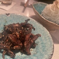 CINA New Modern Chinese - 