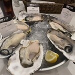 OysterTable - 