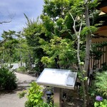 梅の花 - 