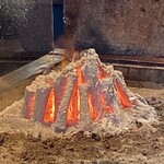 たでの葉 - 大量に燃え盛っていた炭も、終焉にはこれだけに減りました。