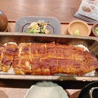 うなぎ四代目菊川 湯の山 素粋居店 -  うなぎ四代目菊川 湯の山 素粋居店 -