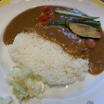 JOTO CURRY  - 