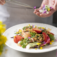 LE VERDURE レヴェルドゥーレ - 春旬の彩りサラダ