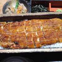 うなぎ 四代目 菊川 グローバルゲート店 - うなぎの存在感！