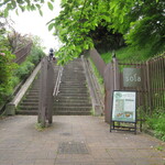 グリーンカフェ グラウンズ - ここを登ればお庭→建物