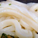 極浄うどん うだま - 2012.11ちく玉天生醤油