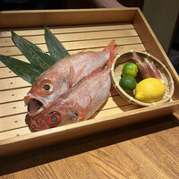 のどぐろ専門 銀座 中俣 - 