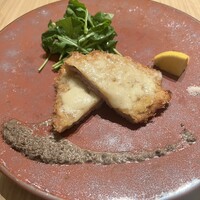 SCALAE - 