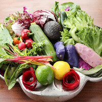 鎌倉野菜のファームサラダ